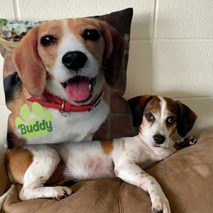 Personalized Photo Pet Pillow Unique Home Decor