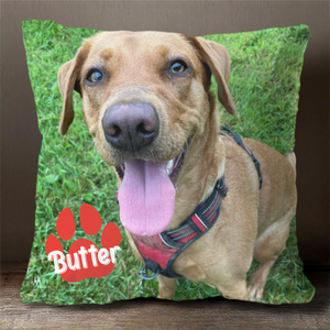 Personalized Photo Pet Pillow Unique Home Decor