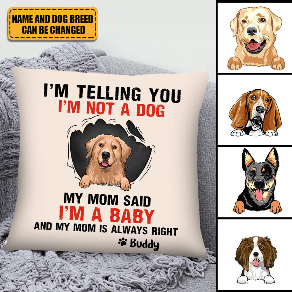 My Mom Said, Personalized Pillows, Custom Gift for Dog Lovers